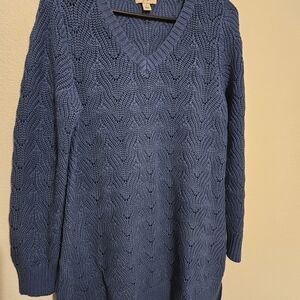 Style & Co. Textured Blue V-Neck Sweater